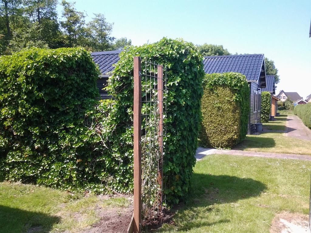 Moddergat Bed & Breakfast Meinsma מראה חיצוני תמונה